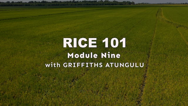 Module 9 - Rice Milling and Milling Systems